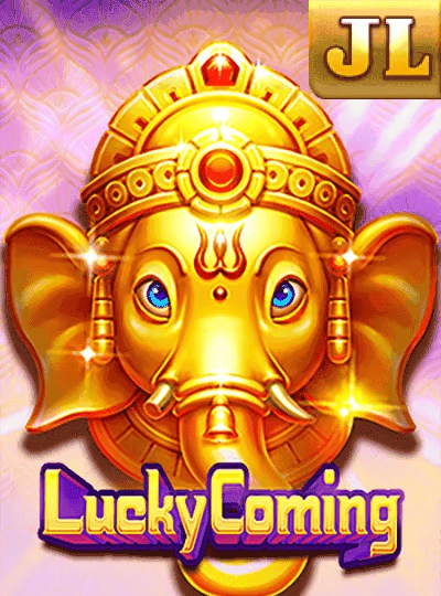 Lucky bingo numbers cover